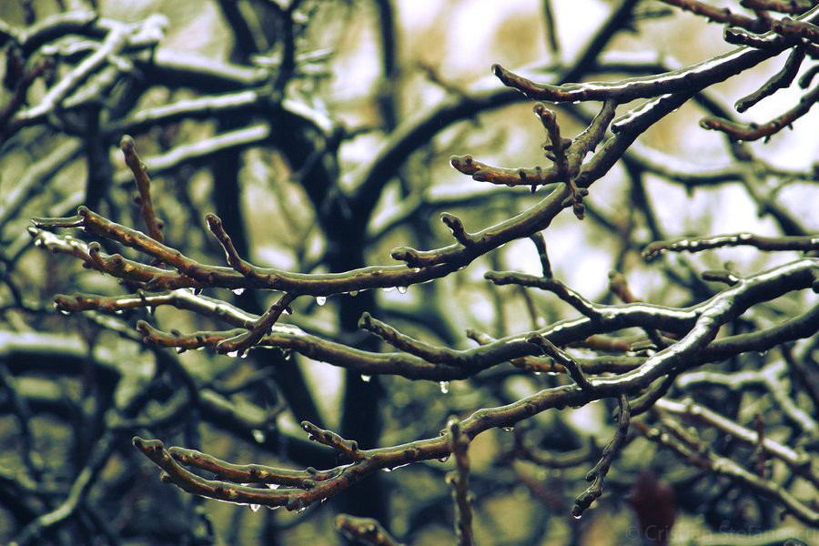 freezing rain, ploaie inghetata