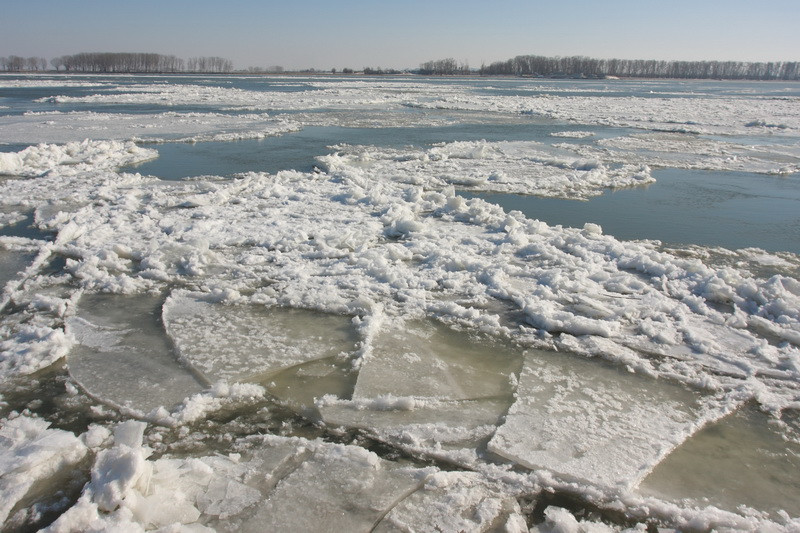 In satele din Delta se ajunge doar cu elicopterul. Camelia Dontu transmite de la fata locului