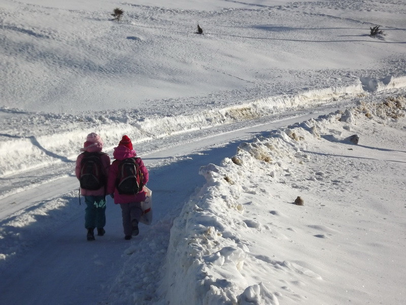 La Brasov ninge neincetat de o zi. Stratul de zapada a atins un metru