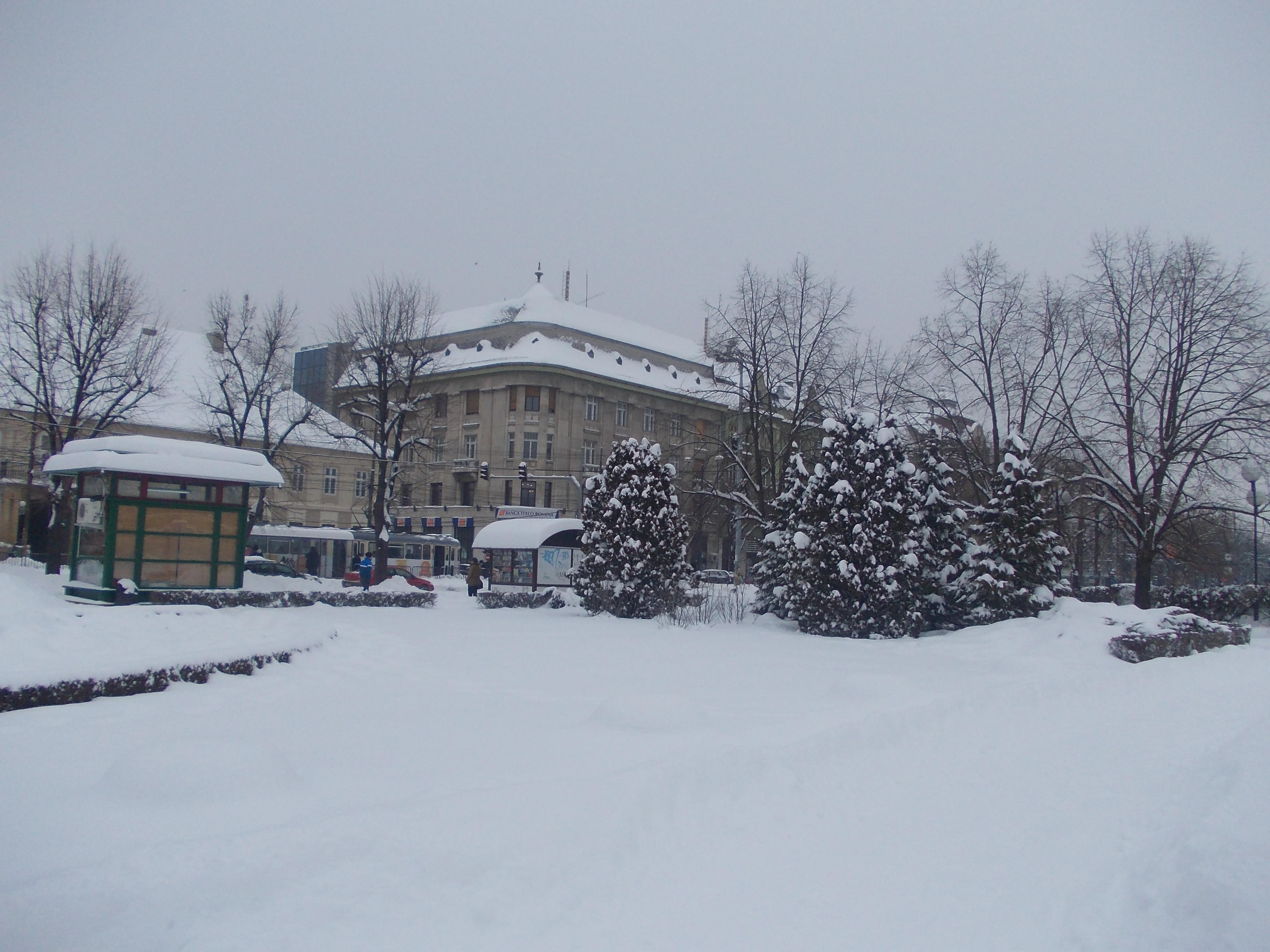 Peste 8.000 de elevi din judetul Timis, tinuti departe de scoala din cauza codului galben