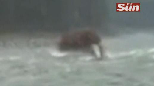 “Cea mai mare descoperire facuta vreodata”. Secretul pe care Siberia l-a ascuns timp de 4.000 de ani