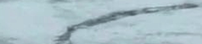 Monstrul caruia nu-i poti pronunta numele, dar care i-a ingrozit pe locuitorii Islandei. VIDEO