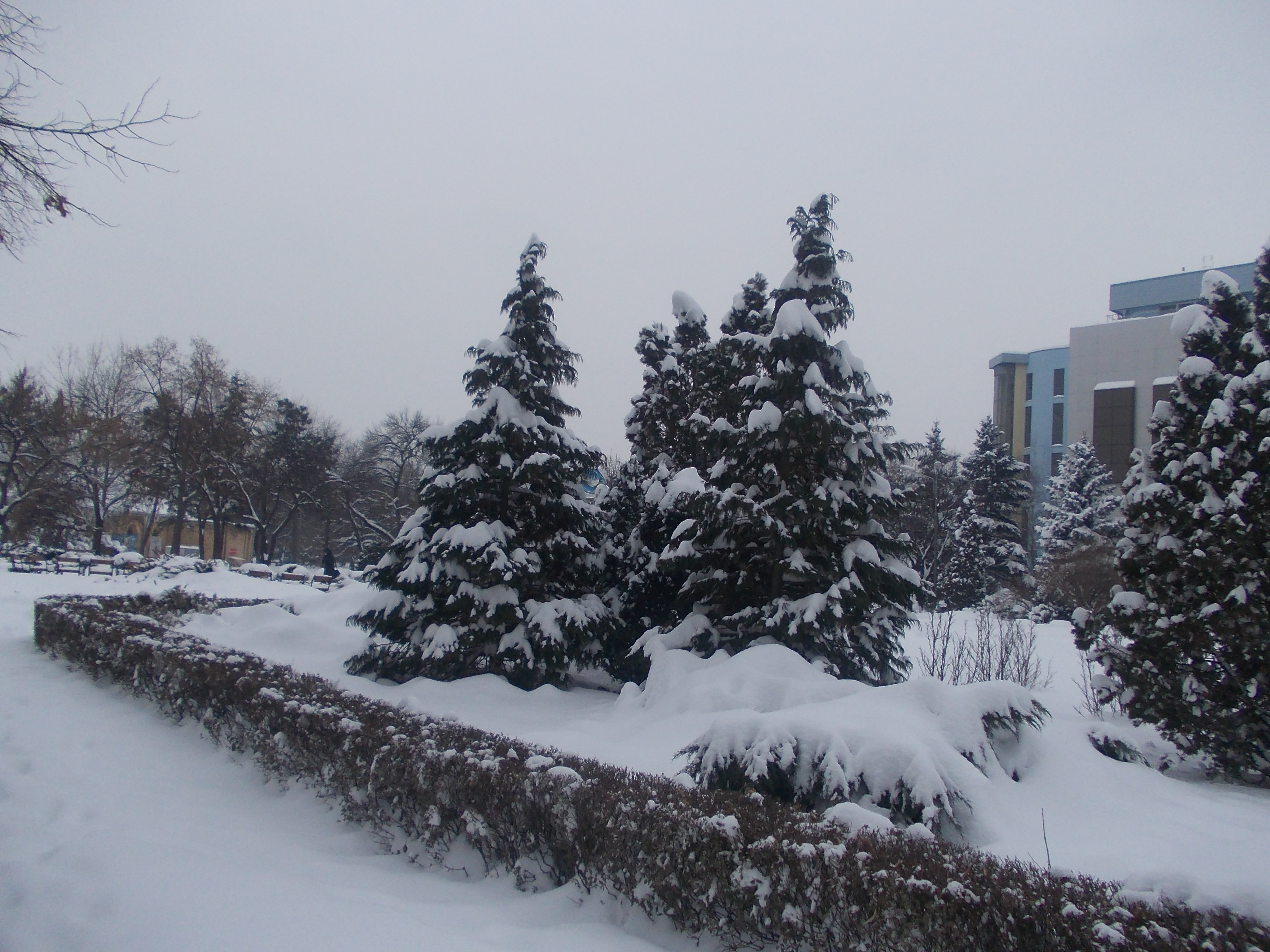 Nici renumele nu face fata gerului. Colegiul National Banatean si Liceul C.D.Loga isi suspenda orele