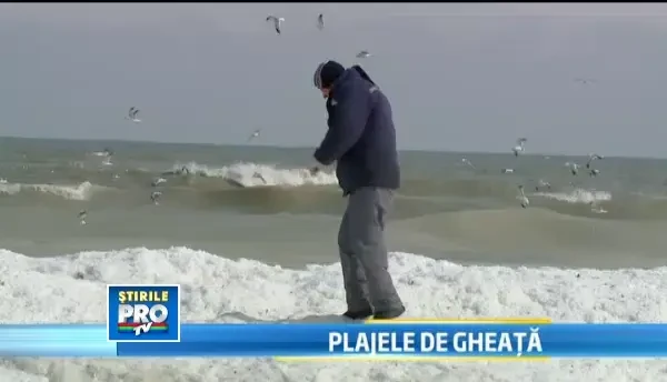 "De 40 de ani nu a mai fost asa ceva". Crabii si scoicile ingheata instantaneu la malul marii