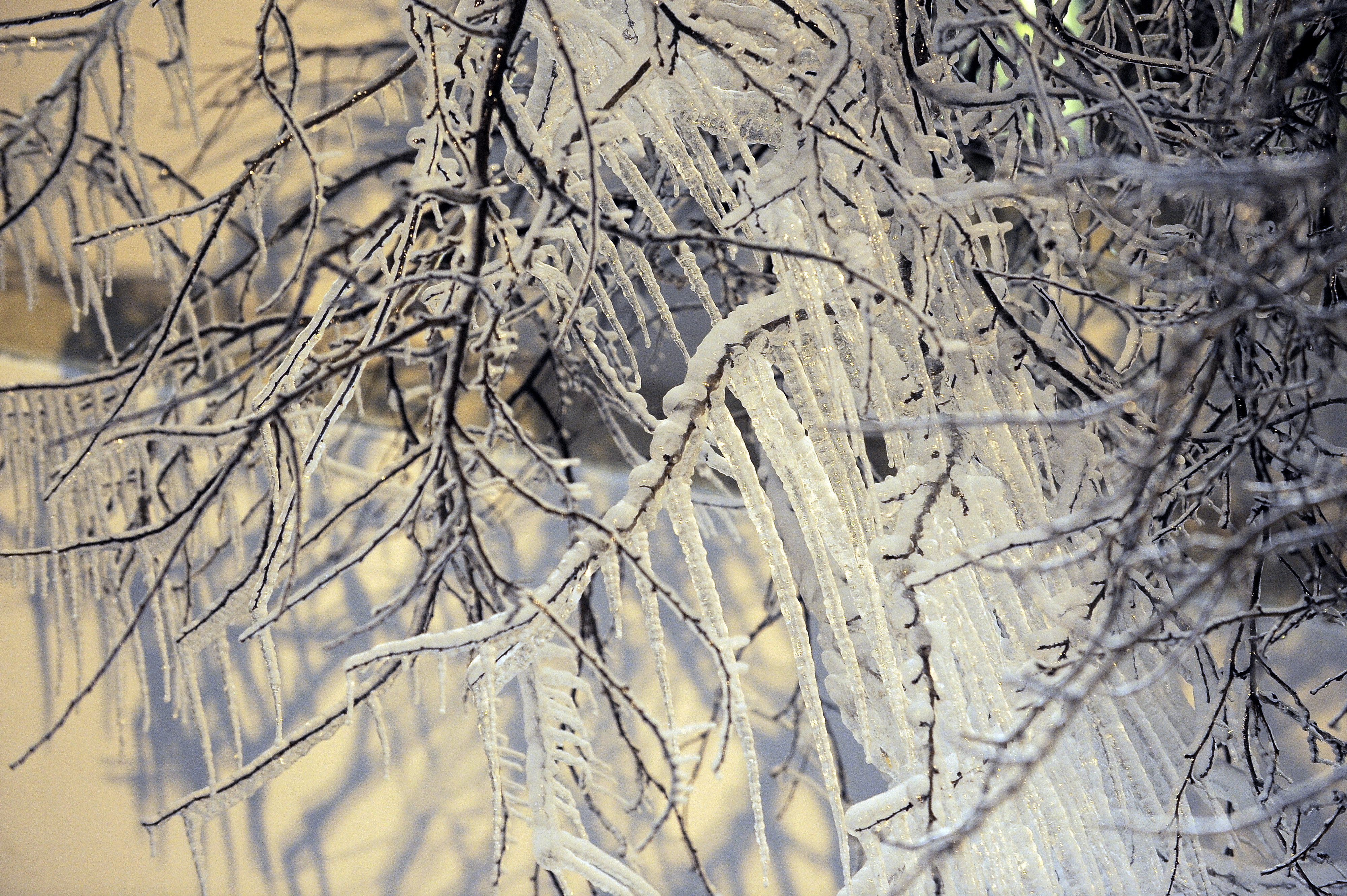 Cum va fi vremea in iarna 2014-2015. Prognoza meteo pana in luna februarie