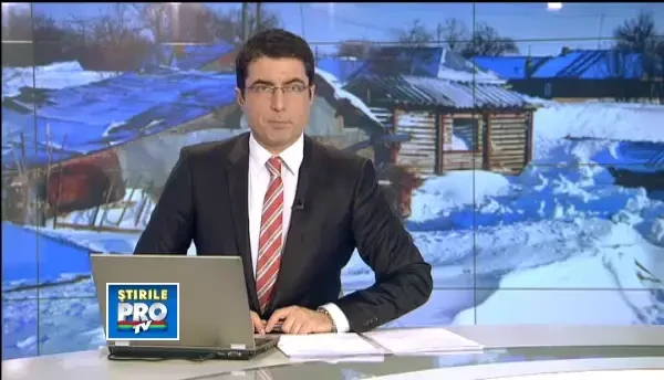 Ingropati in nameti. In satul Robeasca, animalele mor sufocate in grajduri. Salvatorii nu pot ajunge