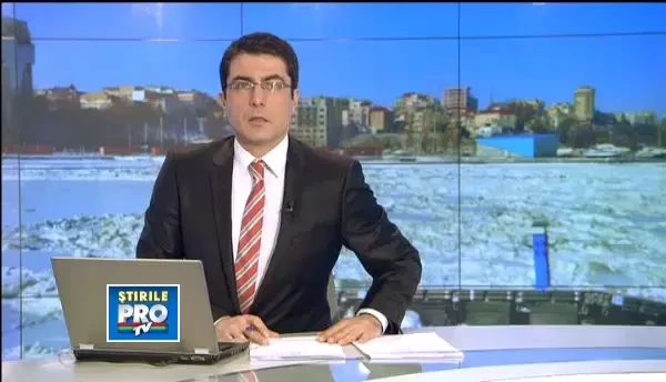 Dezastru ecologic pe litoral. Sute de pasari au murit inghetate, dupa ce nu au mai putut zbura