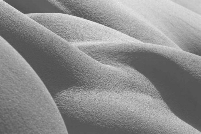 Cel mai de succes grup de pe Facebook, desfiintat. Ce imagine indecenta le-a adus dezastrul