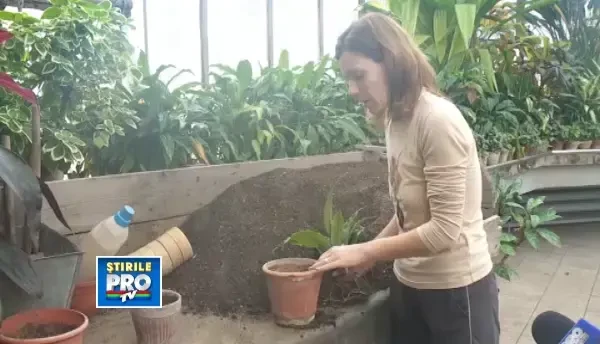 Gradina Botnica infloreste in curand. Pregatirile sunt pe ultima suta de metri