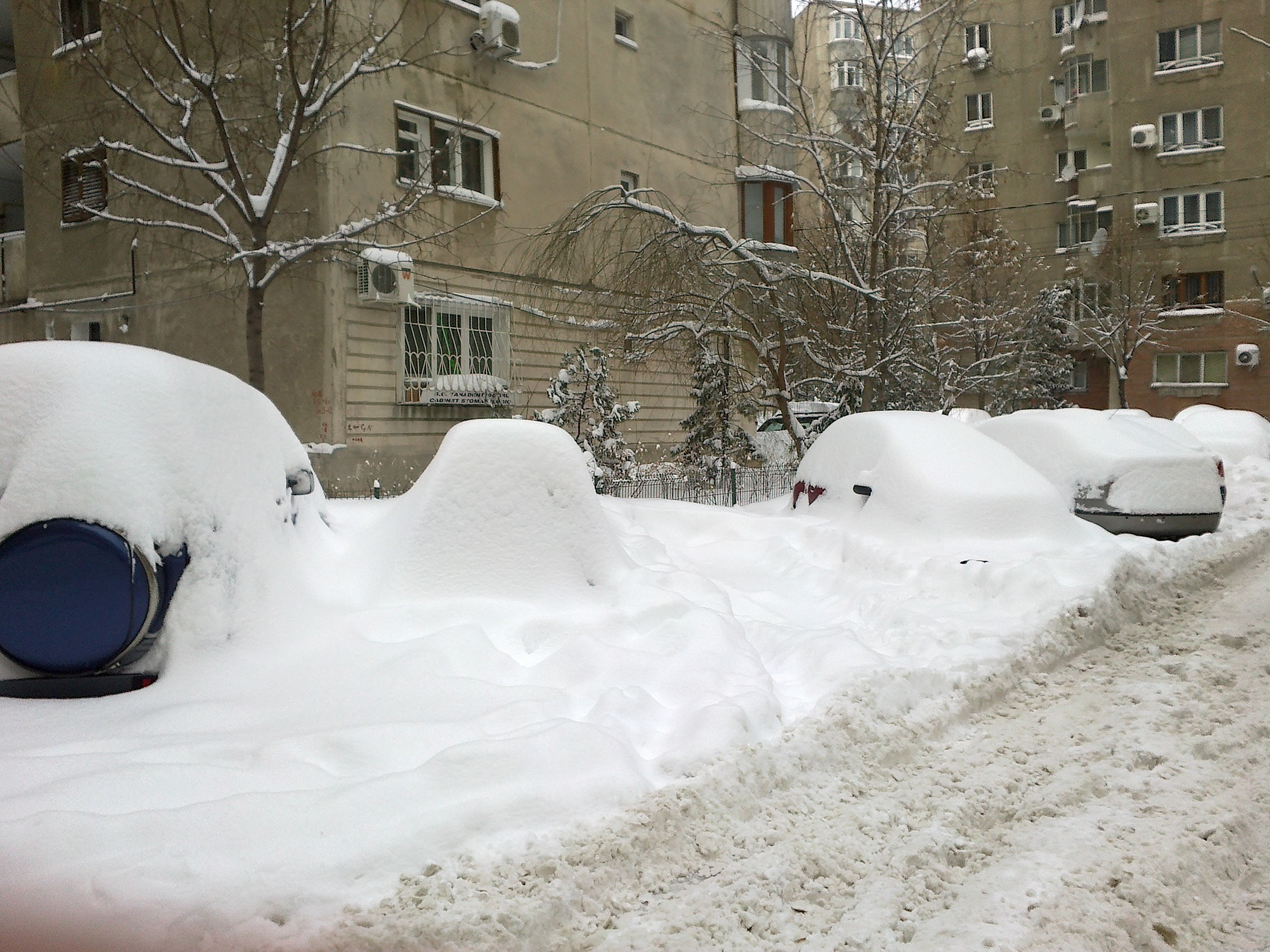 Clujenii au fost amendati pentru ca nu si-au facut curat in fata casei