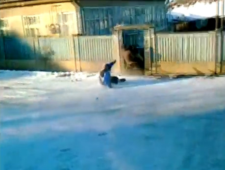 VIDEO. Clipul care te face sa uiti de zapada de afara: "Ba, sania!"