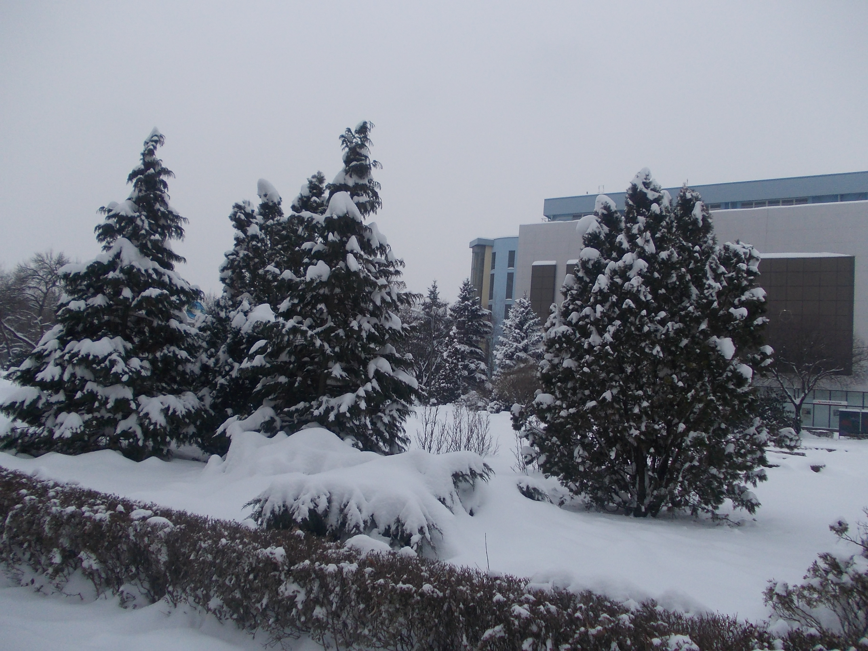 Zapada se topeste, riscul de inundatii creste. Cum ne pregatim sa facem fata apelor