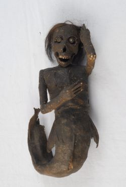 FOTO incredibila. Aceasta creatura i-a uluit pe savanti. Nici ei nu-si dau seama ce reprezinta