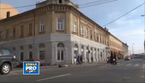 Cum a reusit Oradea sa devina unul din orasele cu cei mai putini caini comunitari din Romania