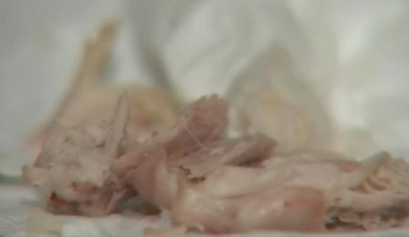 Dezgustator. O femeie din Noua Zeelanda a gasit larve in meniul cumparat de la KFC. VIDEO