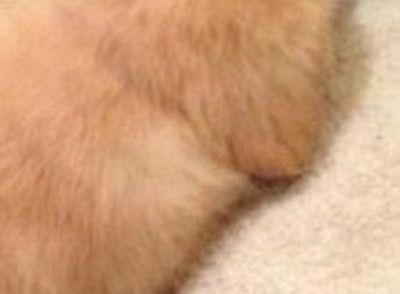 Imaginatia oamenilor a transformat o poza absolut banala intr-un hit pe internet