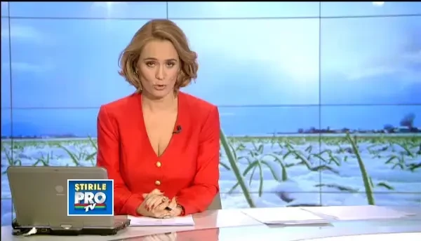 Cum a afectat vremea rea agricultura. Ce culturi au avut de suferit si care vor avea productie buna