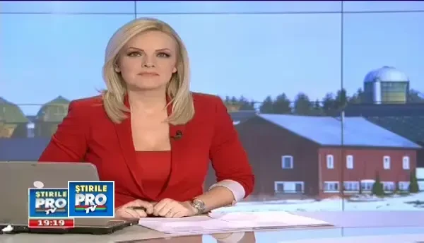 Cand gerurile aspre ameninta tot ce misca, una dintre cele mai vechi rase de bovine din lume rezista