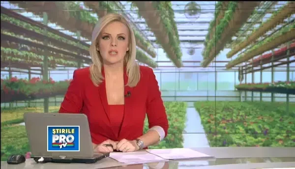 Si-au transformat pasiunea pentru flori in afaceri care le aduce profituri de zeci de mii de euro