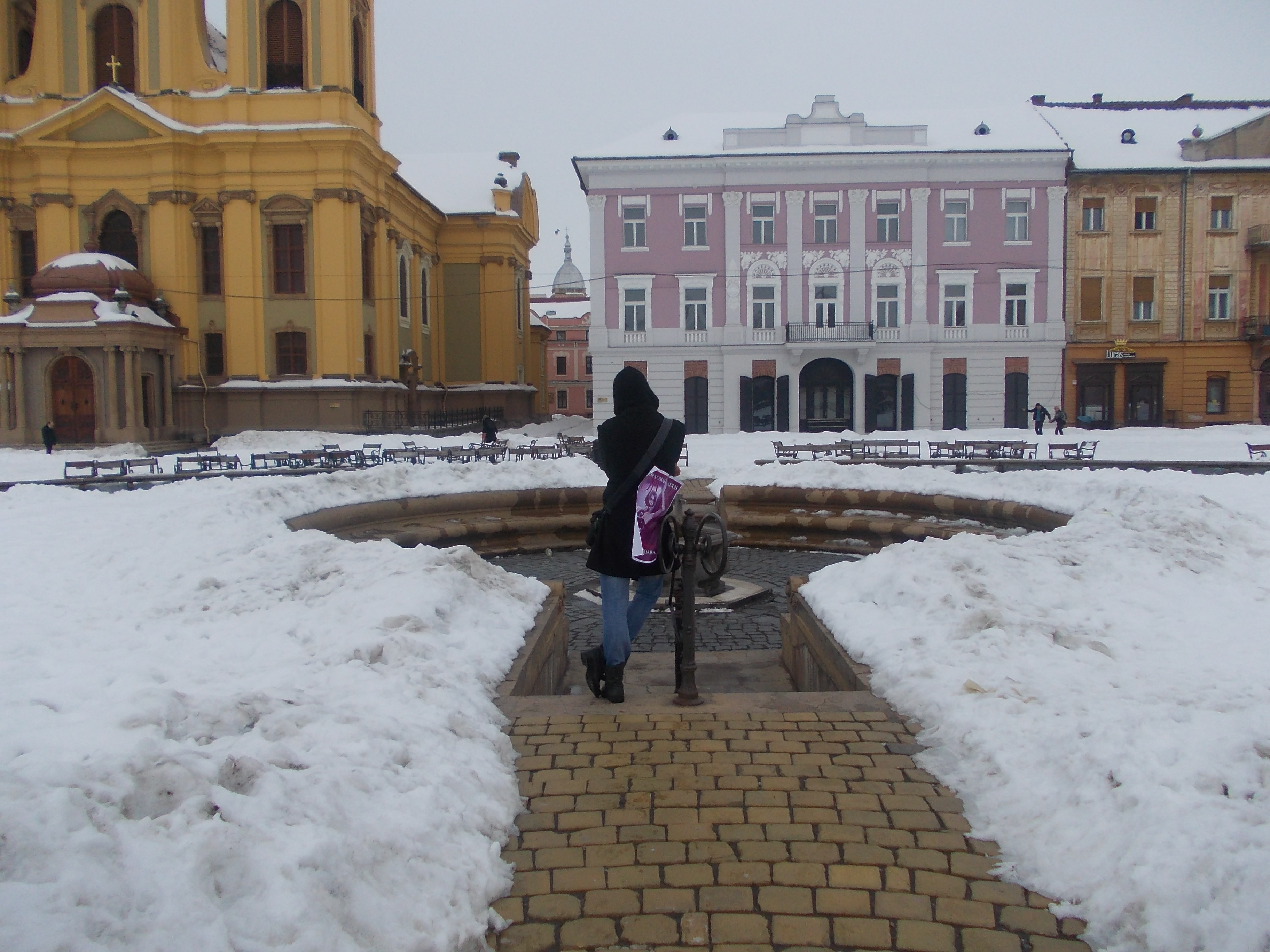 Cel mai infocat fan Whitney Houston. A omagiat-o singur in Piata Unirii din Timisoara