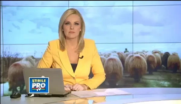 Vestita telemea de oaie din Sibiu n-o sa fie usor de gasit in urmatoarea perioada