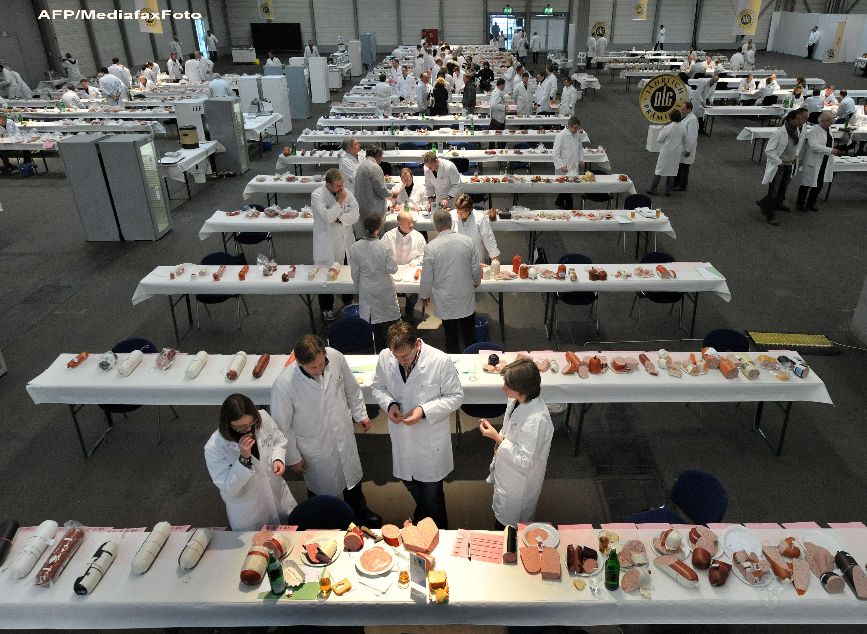 Dupa mai multi ani de cercetari, oamenii de stiinta au reusit sa creeze cel mai sanatos meniu