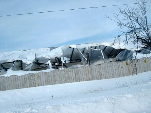 Afacerea pe care nicio firma din Romania nu vrea sa o asigure. De ce este legumicultura riscanta