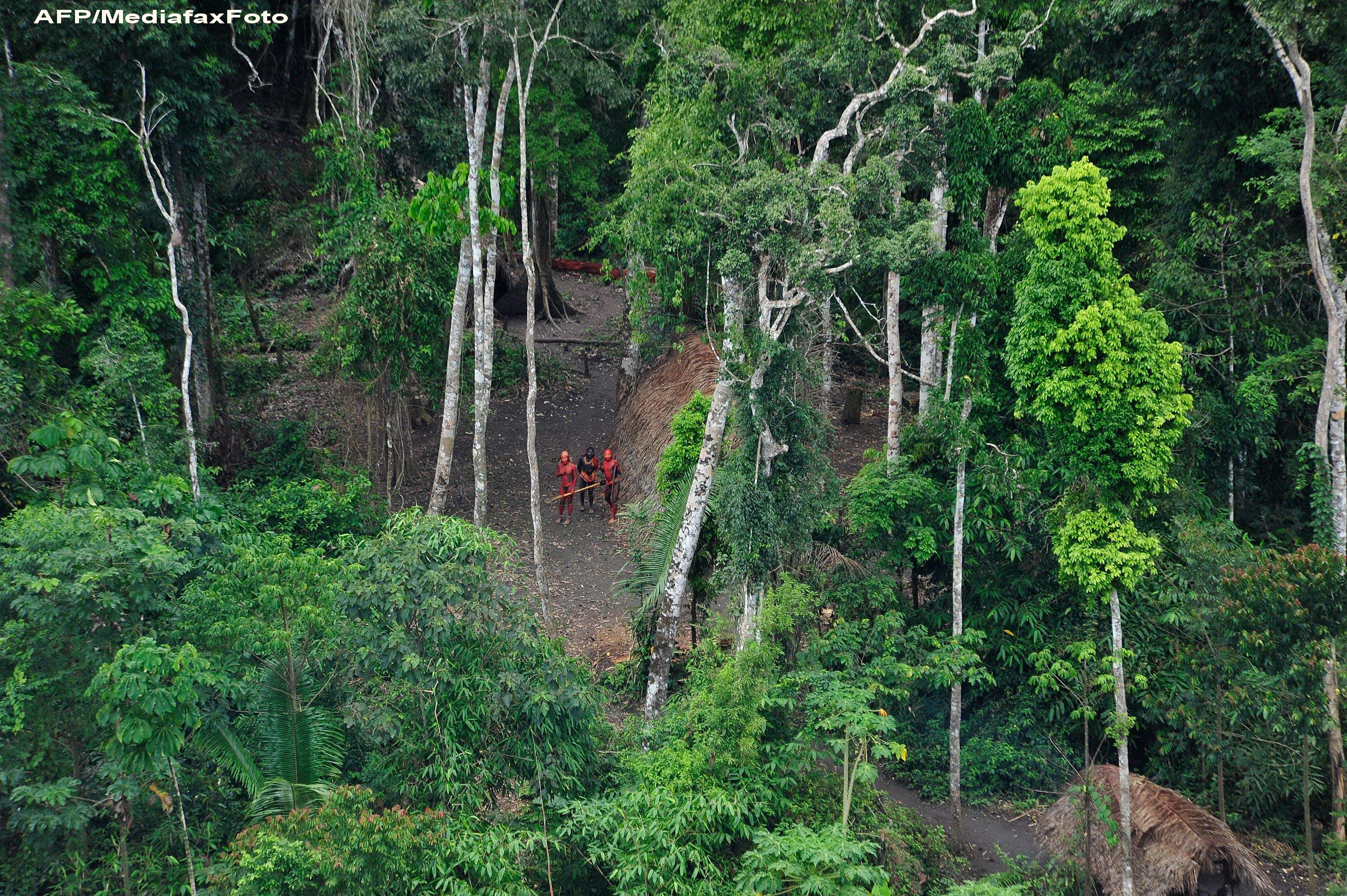 Aceste animale nu trebuiau sa mai existe pe Pamant. VIDEO