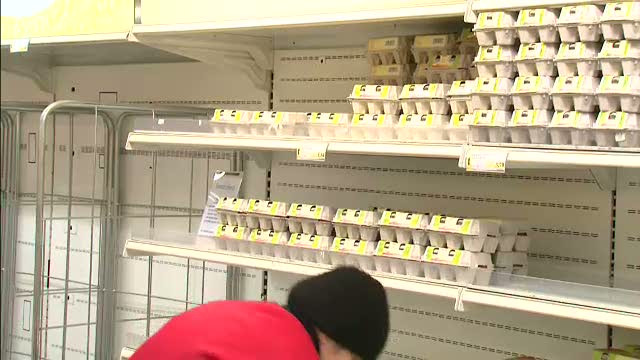 Motivele pentru care ouale s-au scumpit de trei ori in 2012 si nu se mai gasesc in magazine