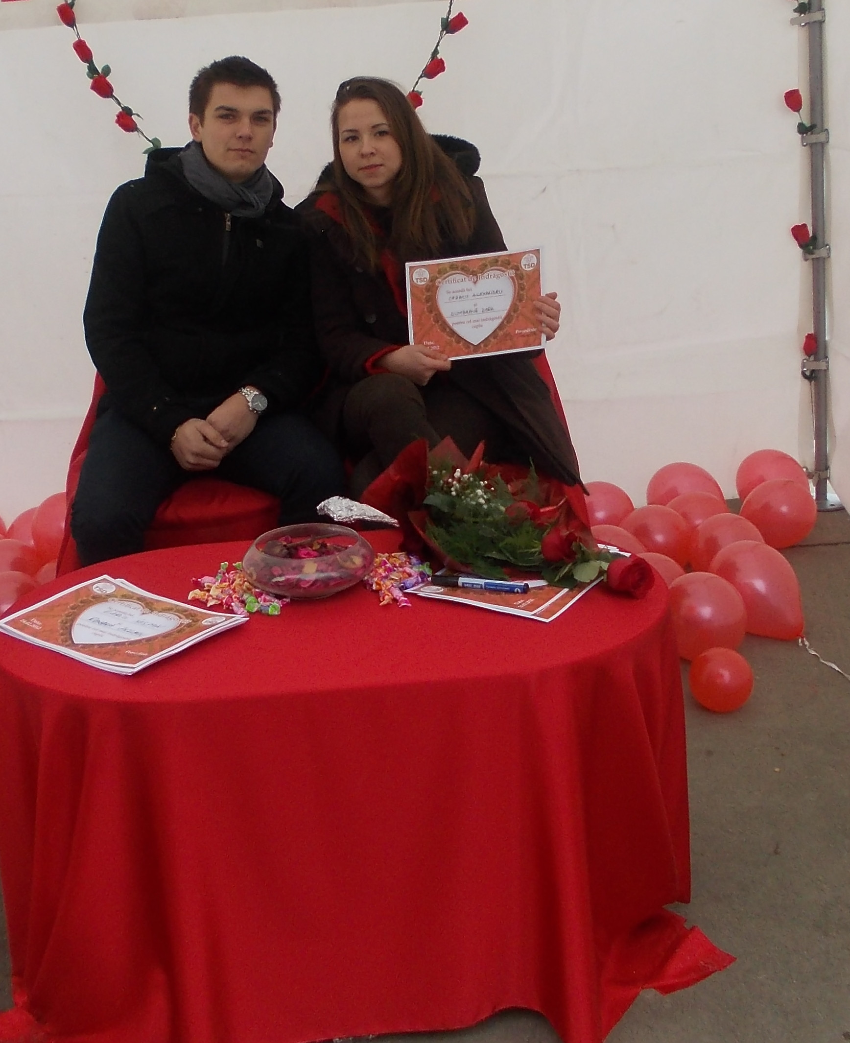 Destine legate pentru 24 de ore, pe Aleea Studentilor din Timisoara