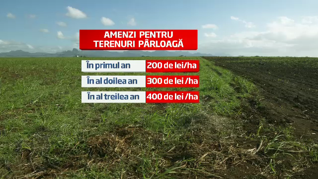 Ieri granarul Europei, azi tara cu 2 mil de hectare de parloaga. Investitorii nu se tem de amenzi