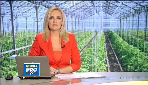 Primariile din Alba castiga bani din flori si rasaduri.