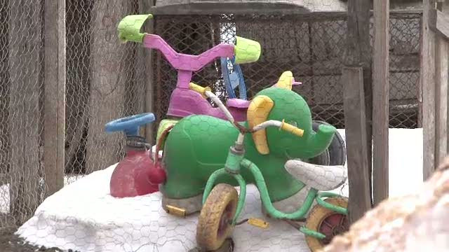 "Cineva trebuie sa plateasca." Parintii fetitei moarta de rabie cauta vinovati