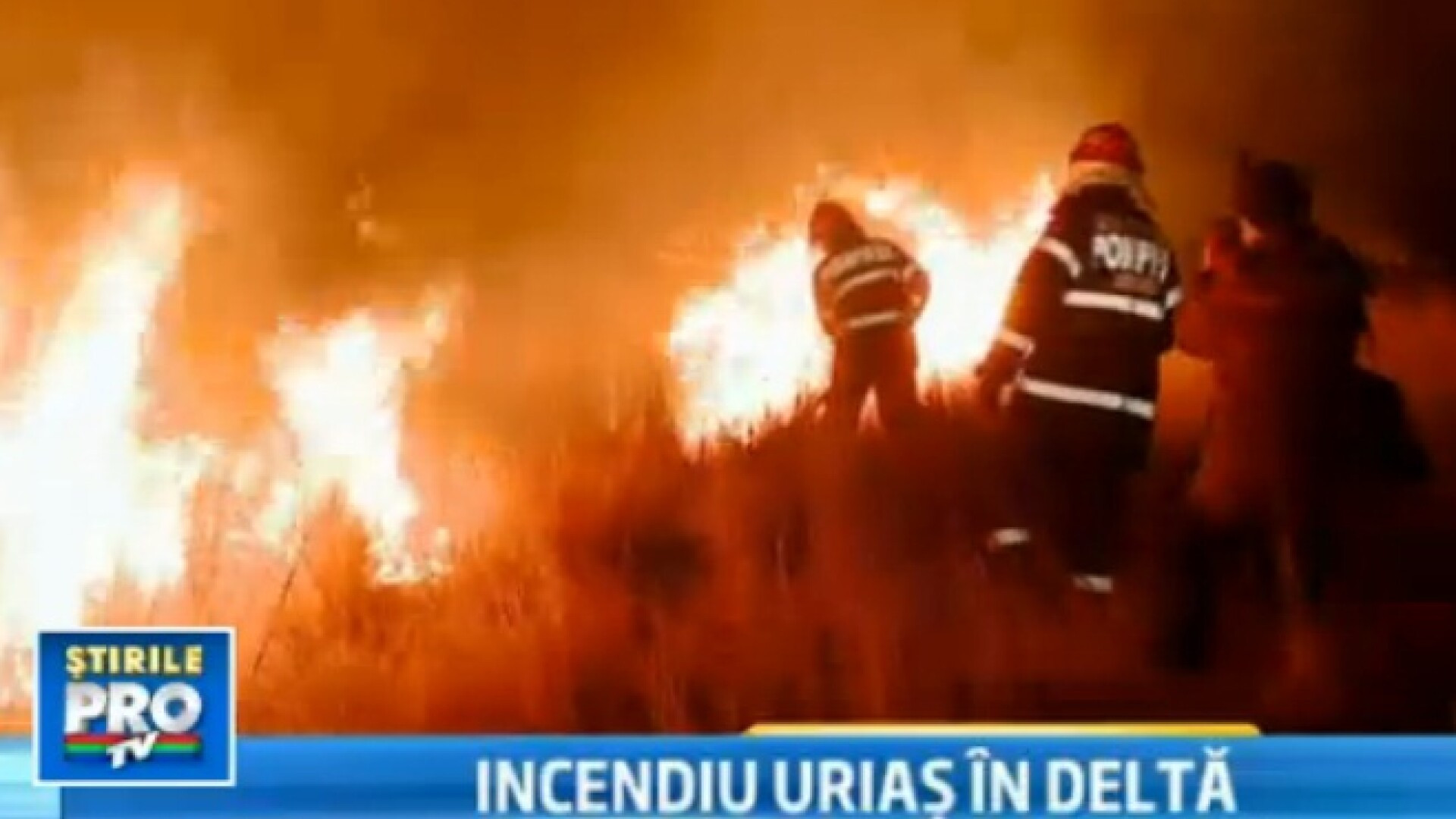 Un nou incendiu in Delta Dunarii. 20 de hectare de vegetatie, distruse langa cetatea Histria