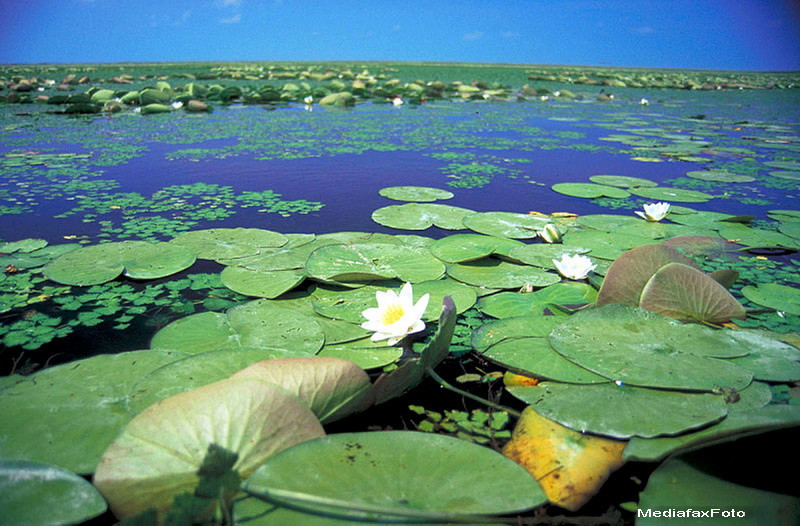 Lupta indarjita, ca la corida. Spania si Romania se bat in oferte turistice pentru aceasta vara