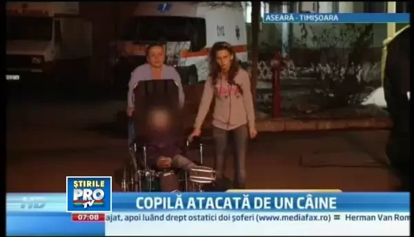 Un Rottweiler a atacat doi copii din judetul Timis. O fetita de 5 ani va ramane marcata pe viata