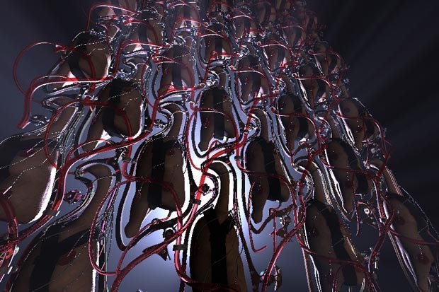 pui fara creier - proiect - 3