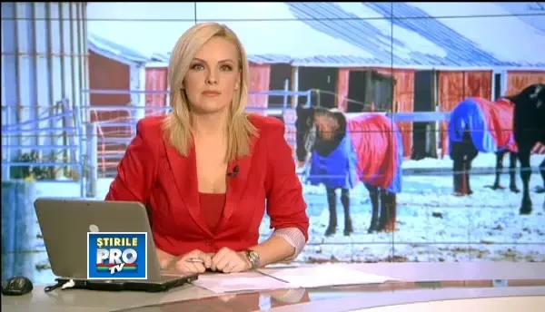 Copiii care au trecut prin traume profunde, ajutati de cateva animale sa treaca peste traume