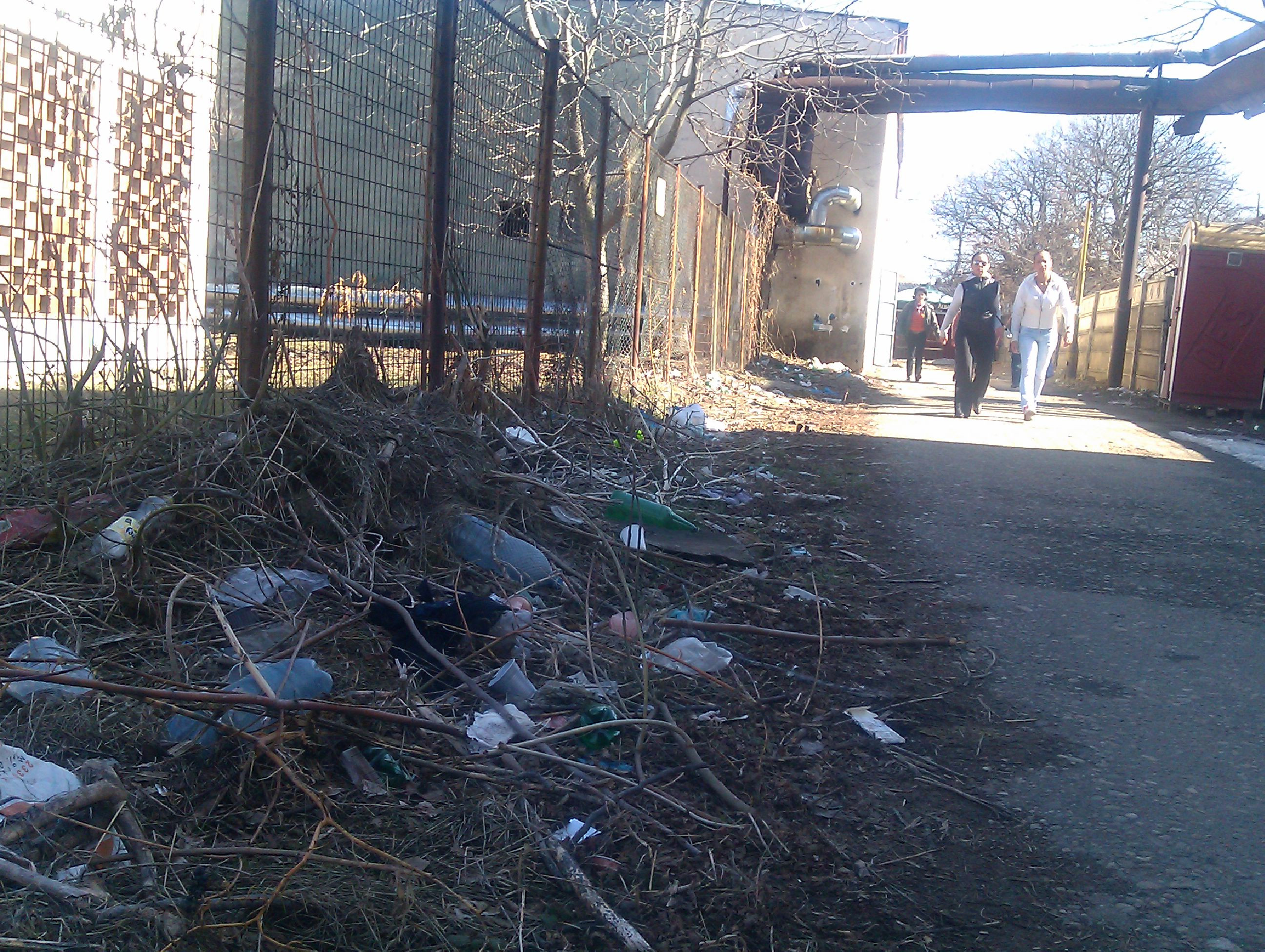 Asa arata o strada din centrul Aradului. Drumul elevilor spre scoala e pavat cu gunoaie