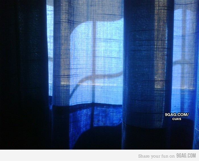 Imaginea pe care ai vazut-o de mii de ori pana acum, dar nu ai inteles-o niciodata