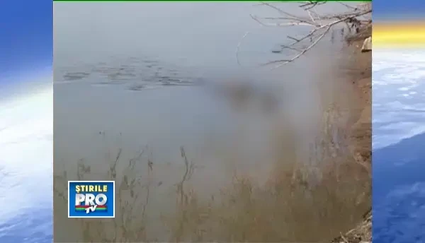 Scene de groaza in Satu Mare. Un trecator a vazut un cadavru plutind pe Somes