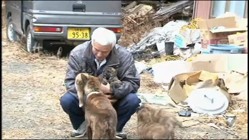 Povestea singurului om care a ramas langa Fukushima. Japonia se teme si acum de legumele contaminate