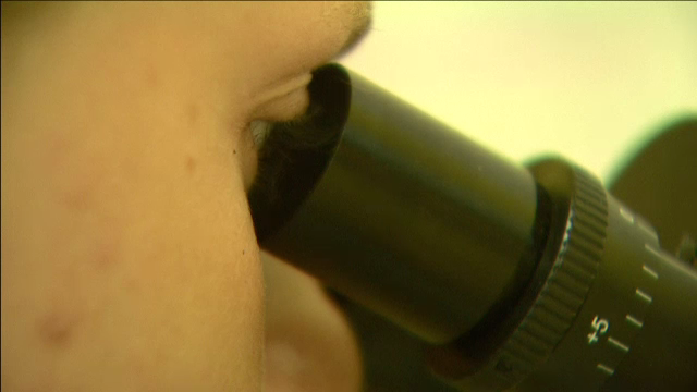 Miturile unei piete cu o cifra de afaceri de 20 de milioane de euro. Ce se trateaza cu celule stem