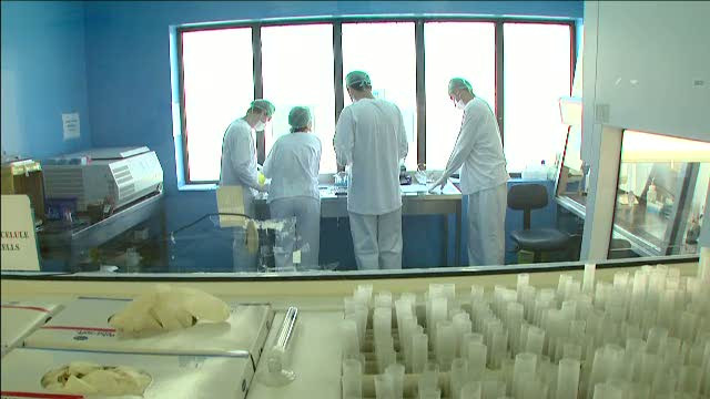 "Romania, te iubesc": Cat valoreaza cu adevarat celulele stem si de ce platim mii de euro pe iluzii