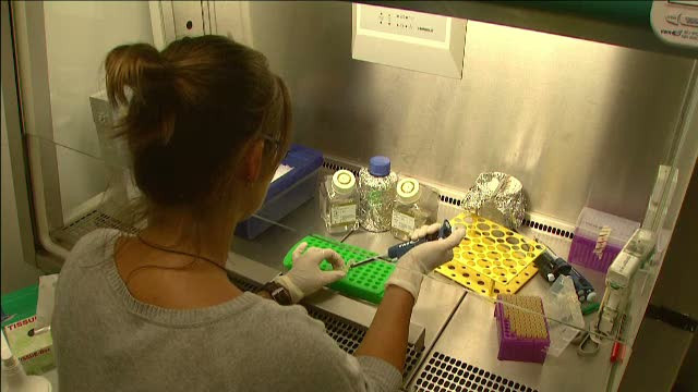 Grasimea de pe burta poate sa va salveze viata. Medicii folosesc celulele adipoase pentru a vindeca cele mai grave rani