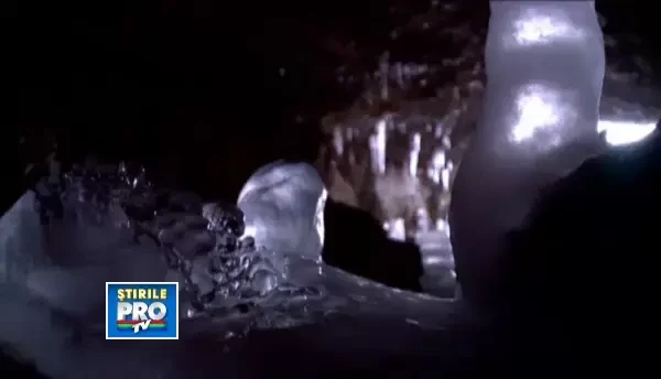 "Romania, te iubesc!": Raiul braconierilor de fosile. Cum au ajuns hotii romani sa vanda istorie