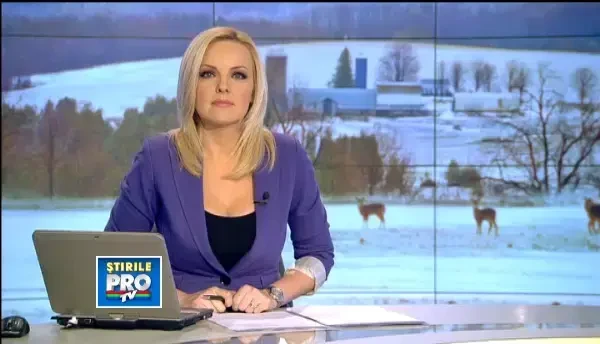 Frigul le impinge pe animalele salbatice sa caute hrana pe langa oameni