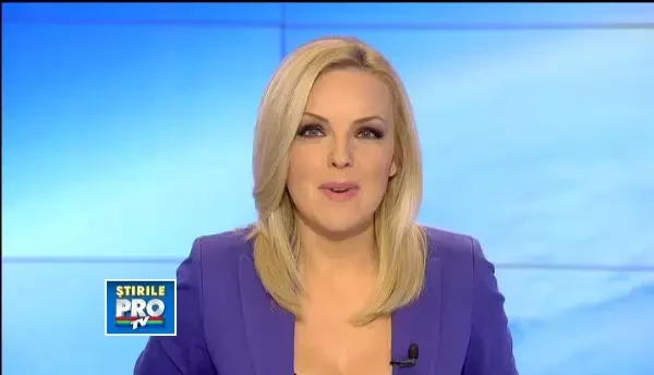 Cum s-au pregatit cei mai frumosi 1.000 de caini din intreaga Europa sa se intreaca la Arad