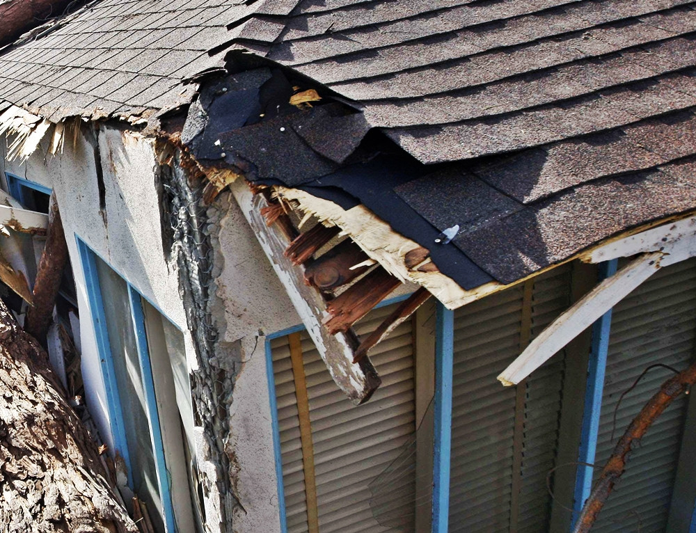 Cati muncitori romani trebuie sa calculeze traiectoria unui pom, ca sa pice FIX in directia opusa