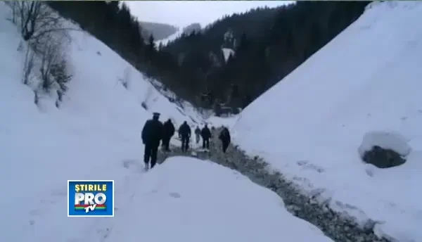 Socotelile unor hoti din Bistrita-Nasaud au fost date peste cap de jandarmi
